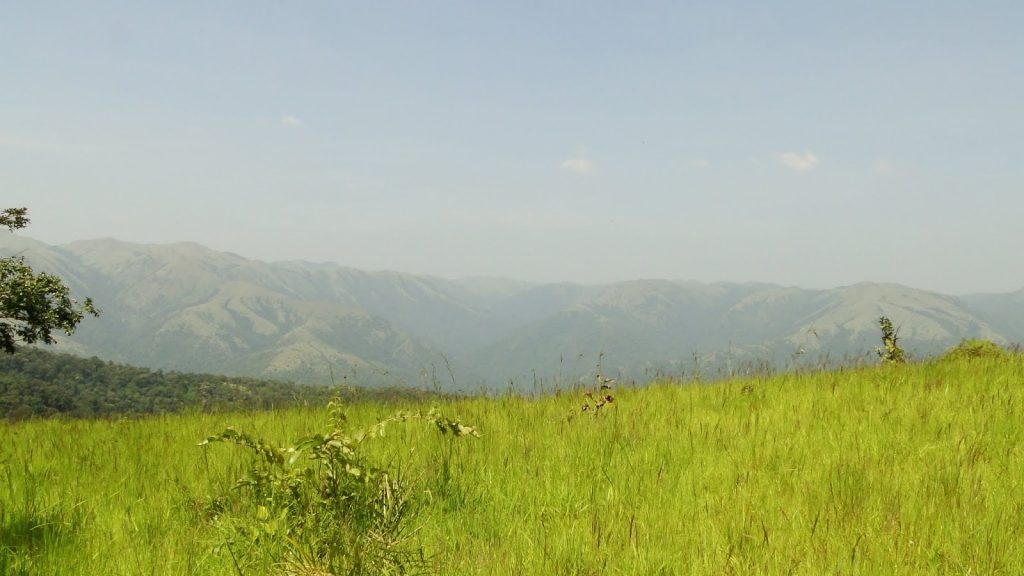 Kaginahare