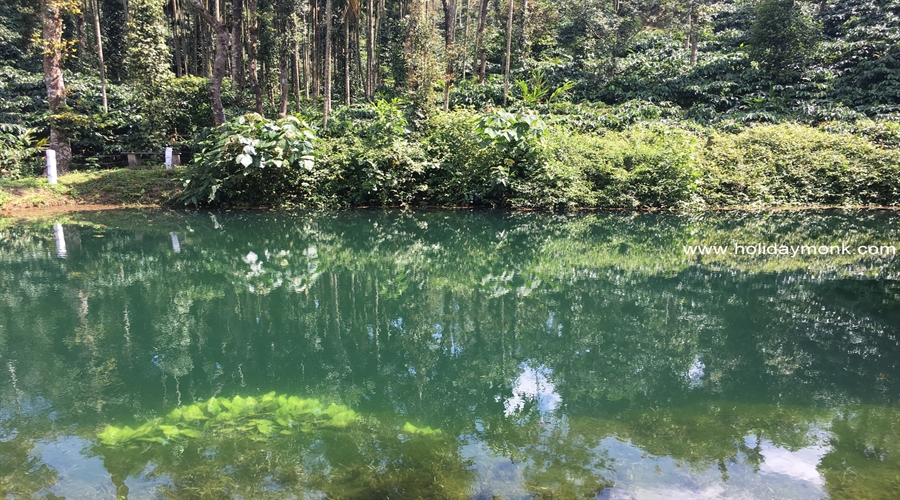 home stay near nimhans bangalore